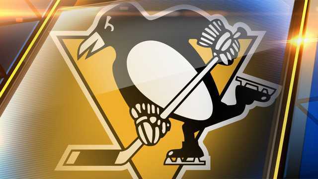 pittsburgh penguins